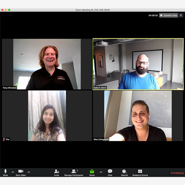 Core group on Zoom call TWG